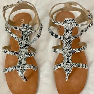 Coconuts by Matisse Stardust Snake Print Low Gladiator Sandals NIB
